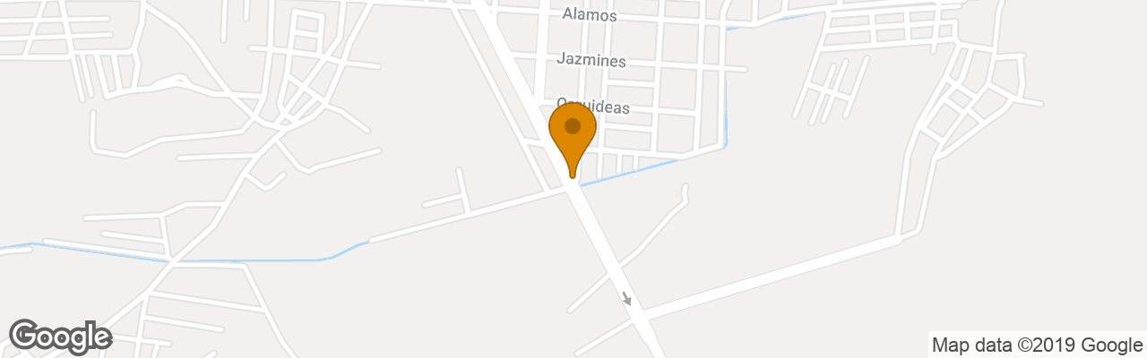 Hotel Las Palmeras De Pisco