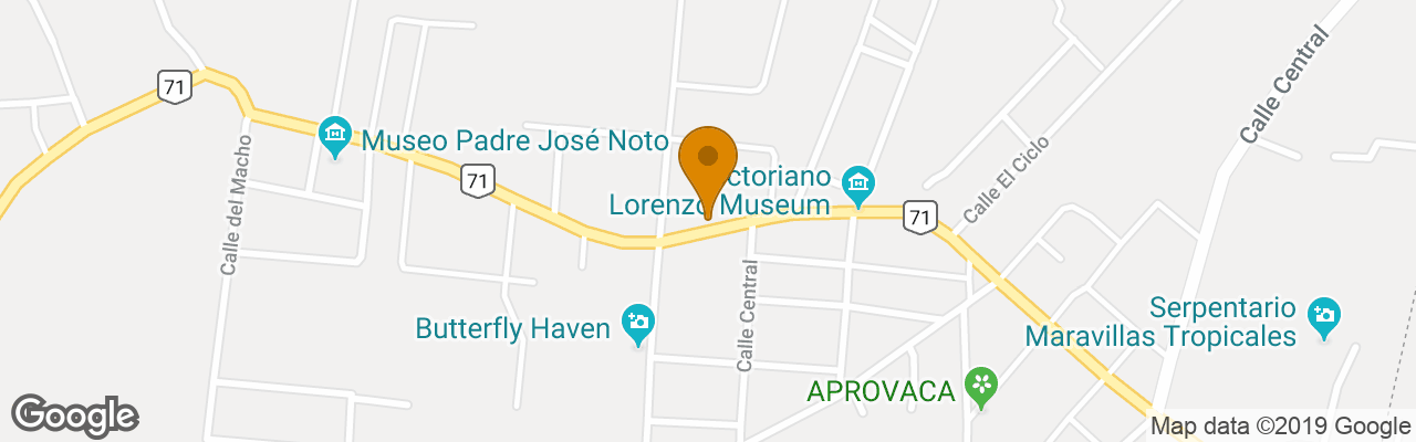 Bodhi Hostel & Lounge