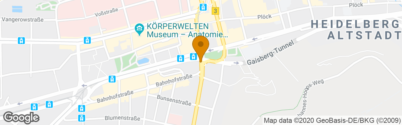 Hotel Crowne Plaza Heidelberg City Centre