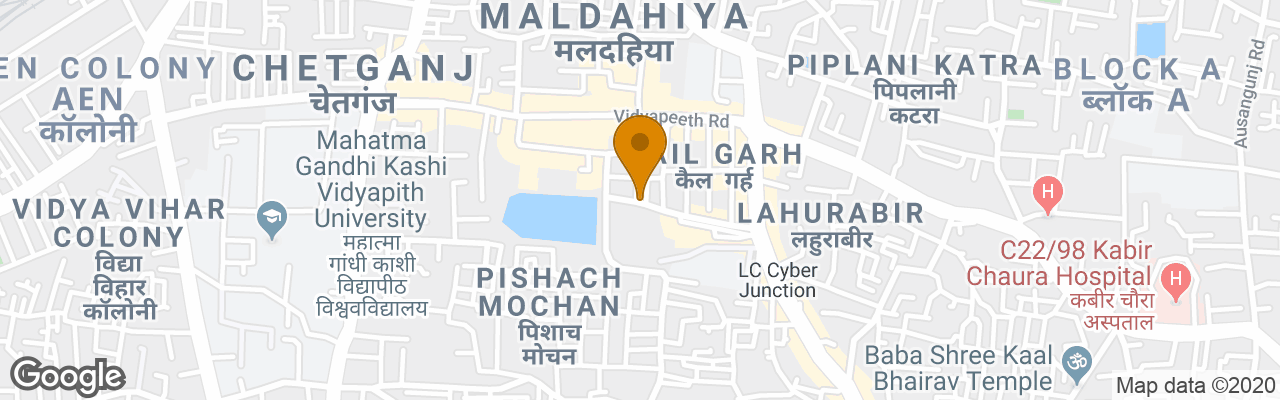 Hotel Pallavi International