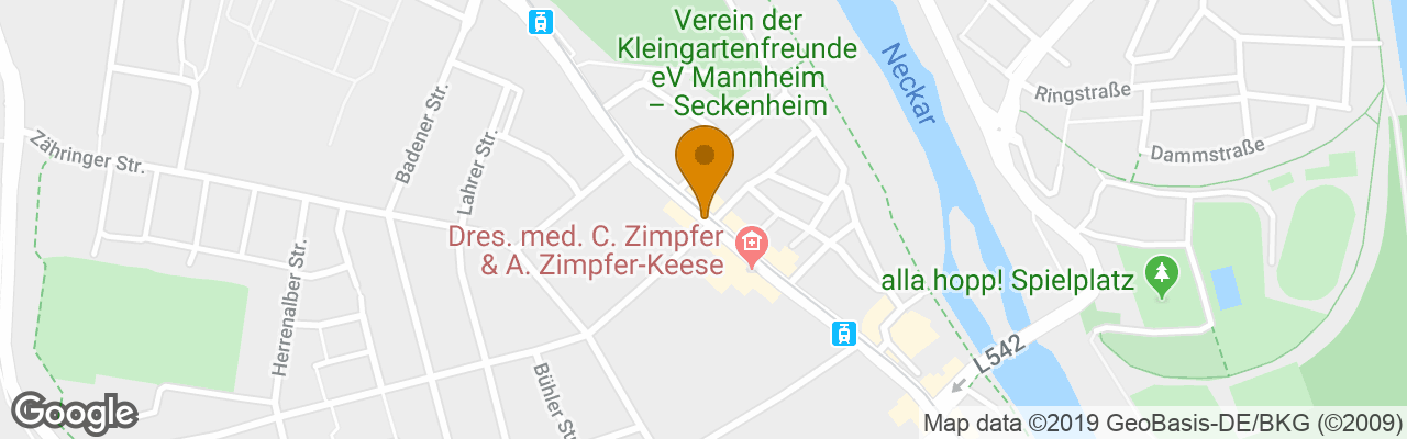 Hotel Loewen Seckenheim