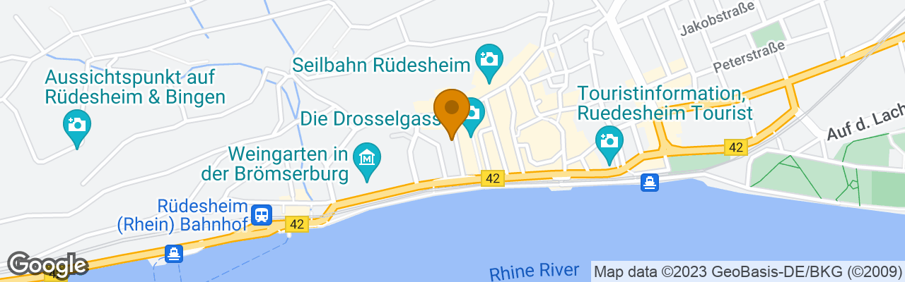 Hôtel Ruedesheimer Schloss