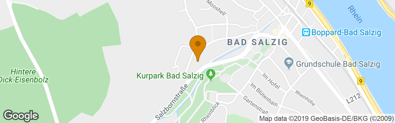 Park hotel Bad Salzig