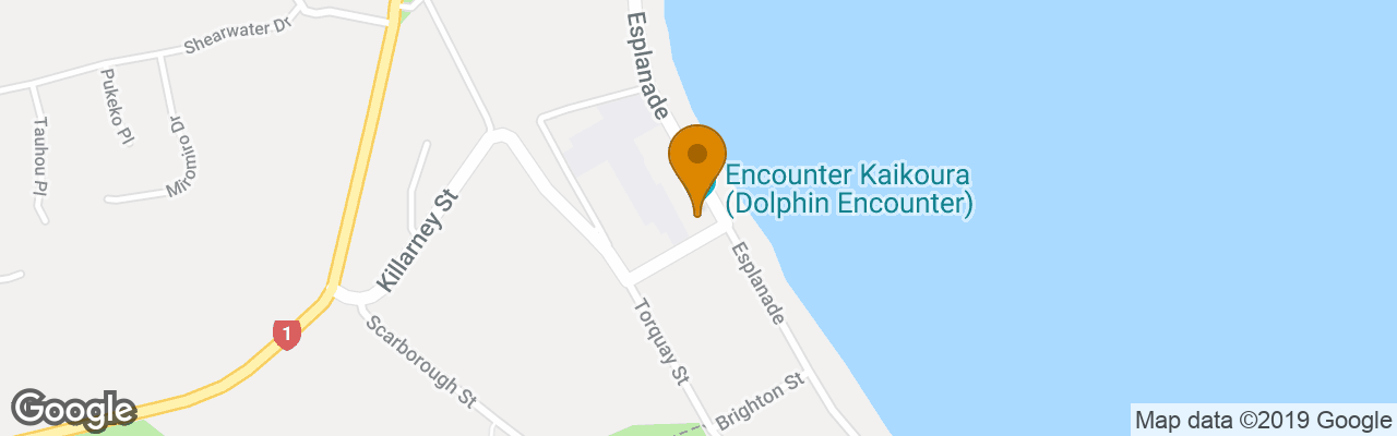 Hotel The White Morph