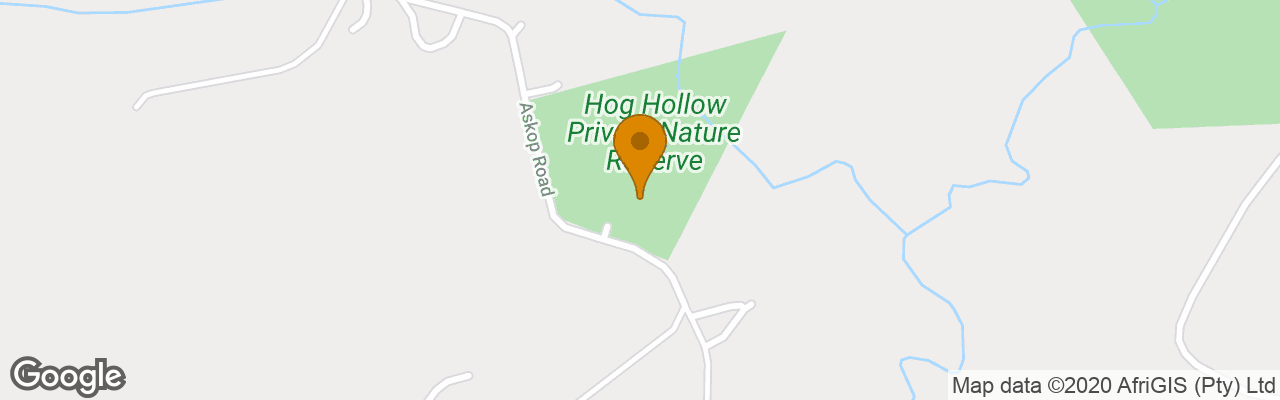 Hotel Hog Hollow Country Lodge