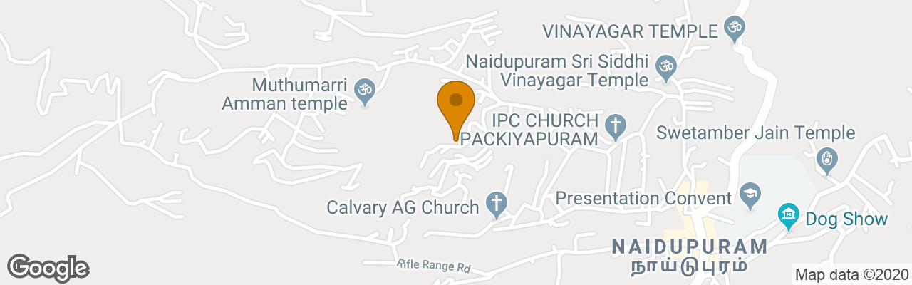 Hotel Summer Migrations