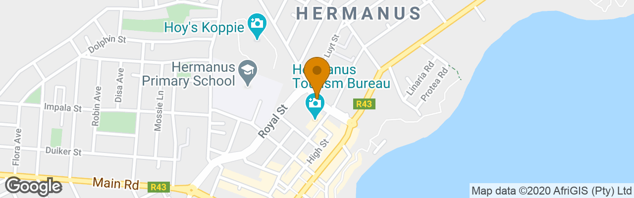 Hotel The Whale Coast