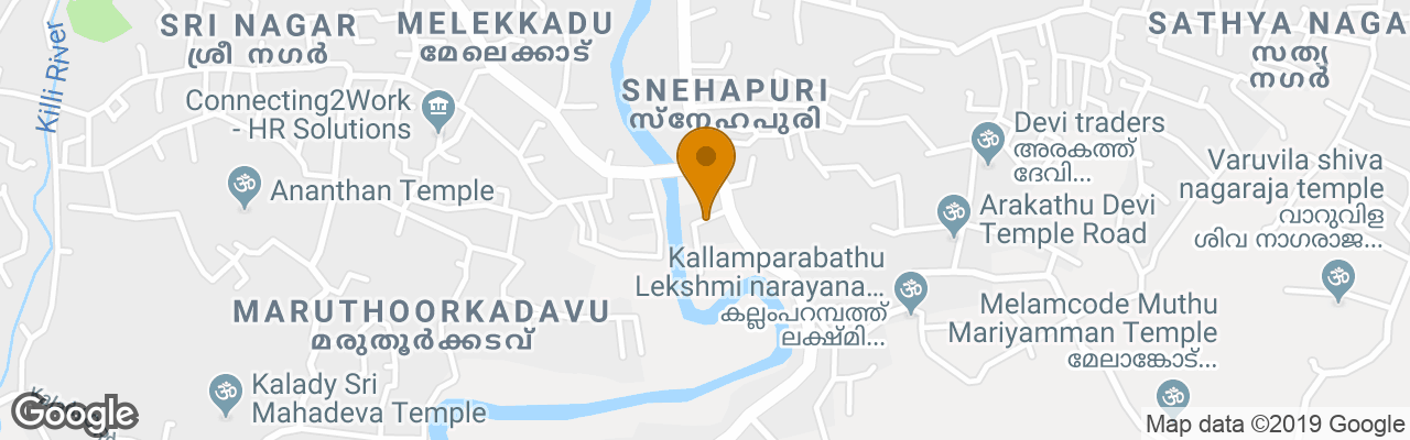 Hotel Vasudevam Premium Suites