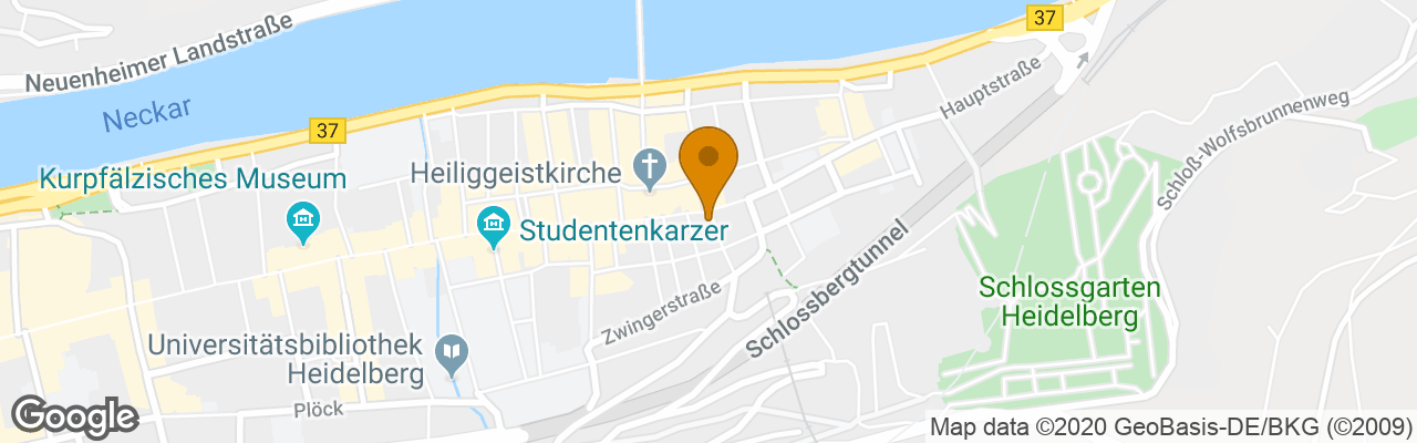 Hotel Goldener Falke