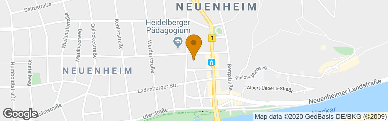 Hotel Heidelberg Astoria