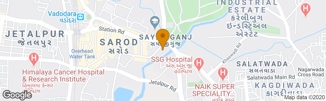 Sayaji Hotel Vadodara