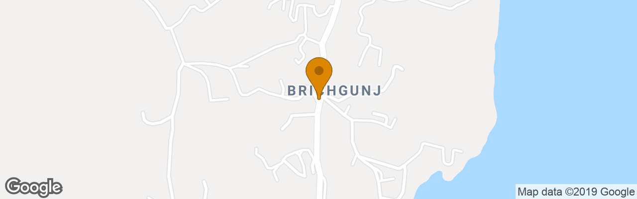 Hotel Palm Grove Eco Resort