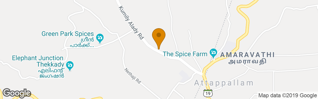 Pension Jungle Palace Homestay