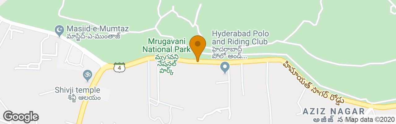 Mrugavani Resort And Spa