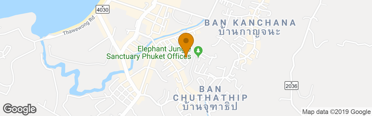 Hotel Patong Lily Place