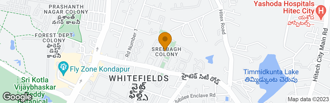 Hotel Minerva Grand Kondapur