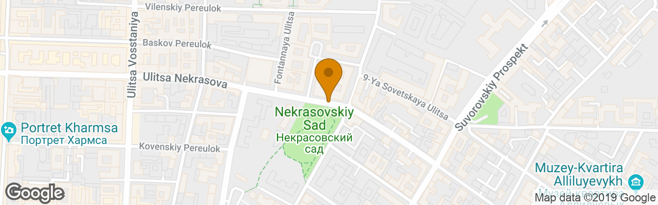 Hostel Cat on the Roof