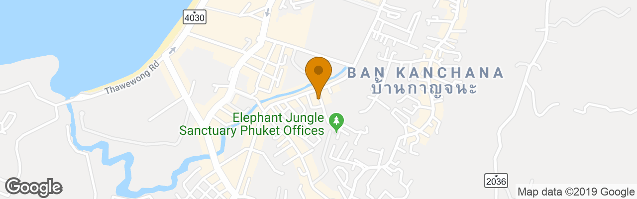 Hotel The Cocoon Patong