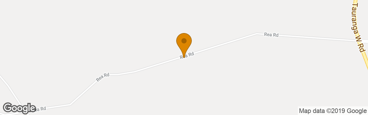 Hotel Fantail Lodge Country Estate