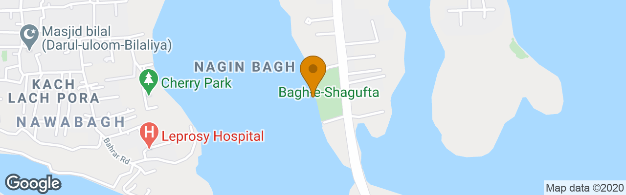 Hotel Lily Of Nageen