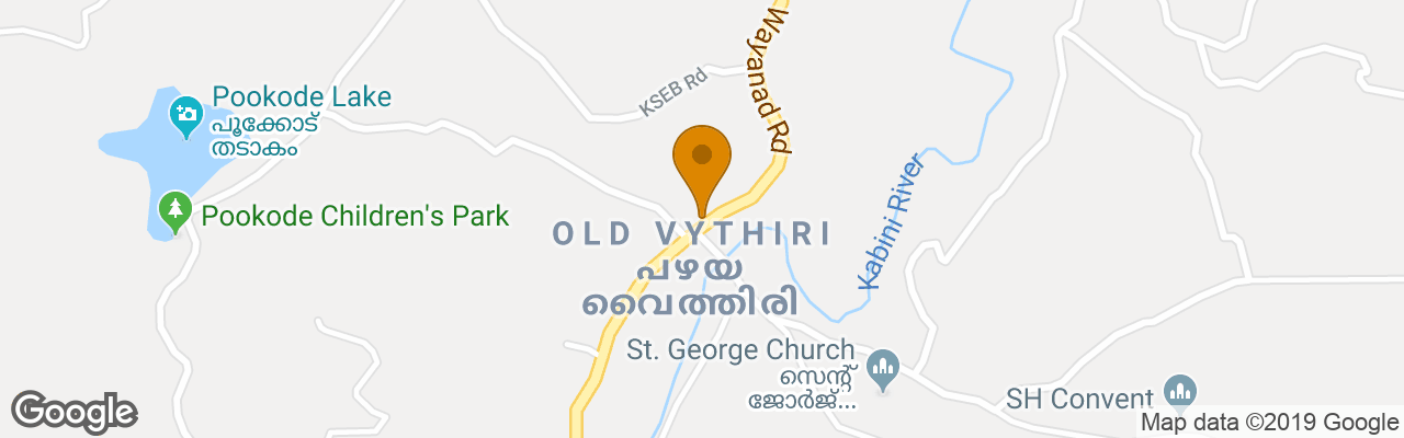 Hotel Vythiri Village Resort