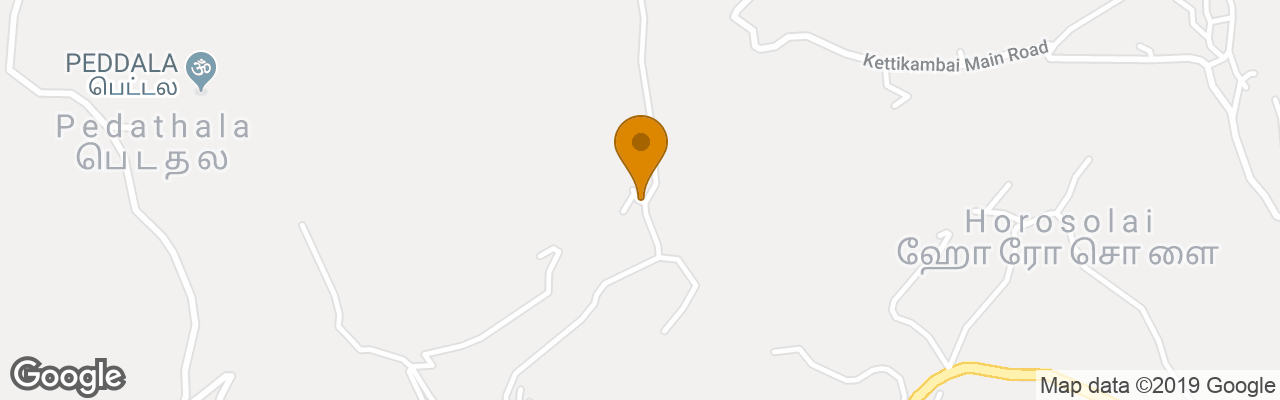 Hotel Green Nest Resort