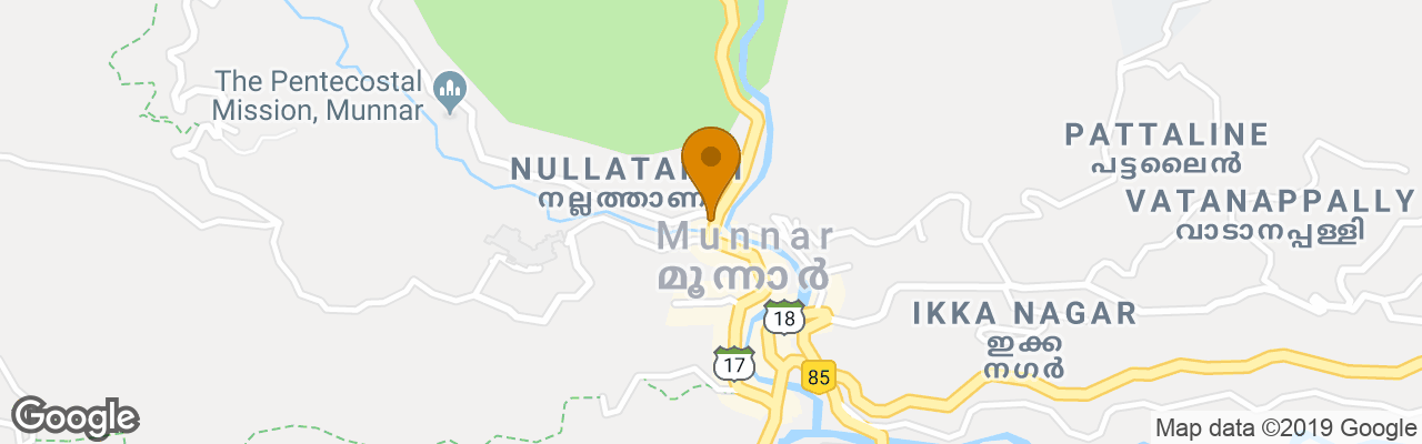 Hotel Green Trees Munnar