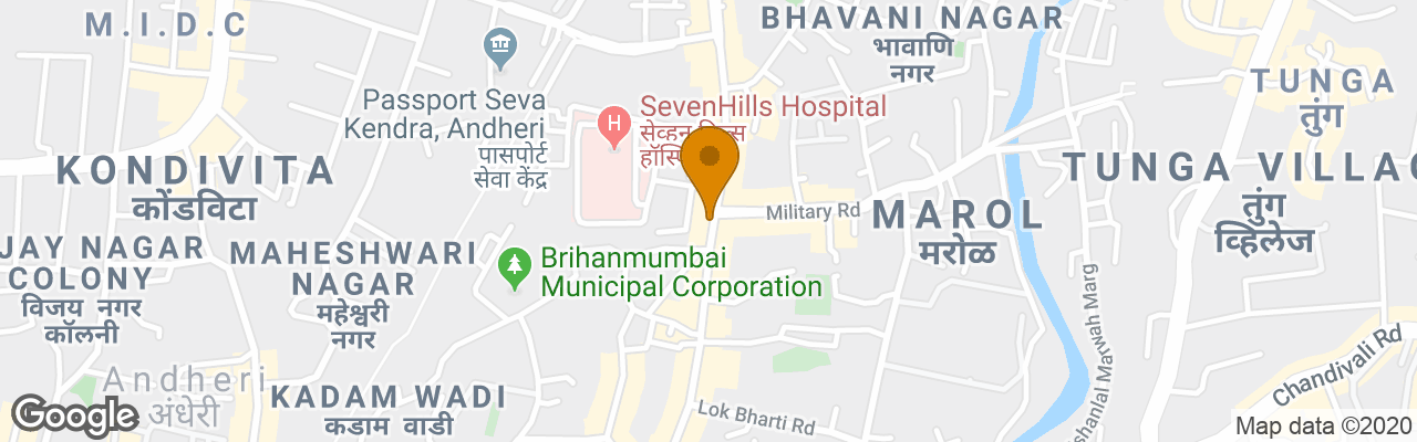 Hotel Treebo Metropolis