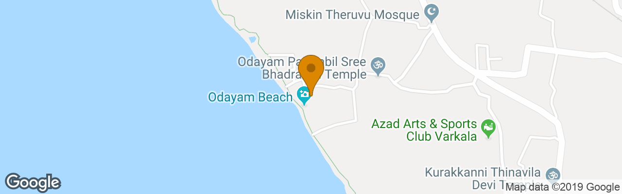 Hotel Palm Tree Bungalow