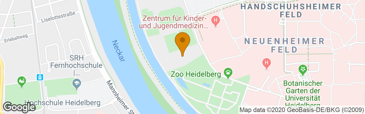 Jugendherberge Heidelberg International