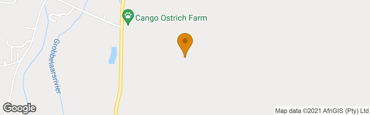 Bed and Breakfast Le Petit Karoo Ranch