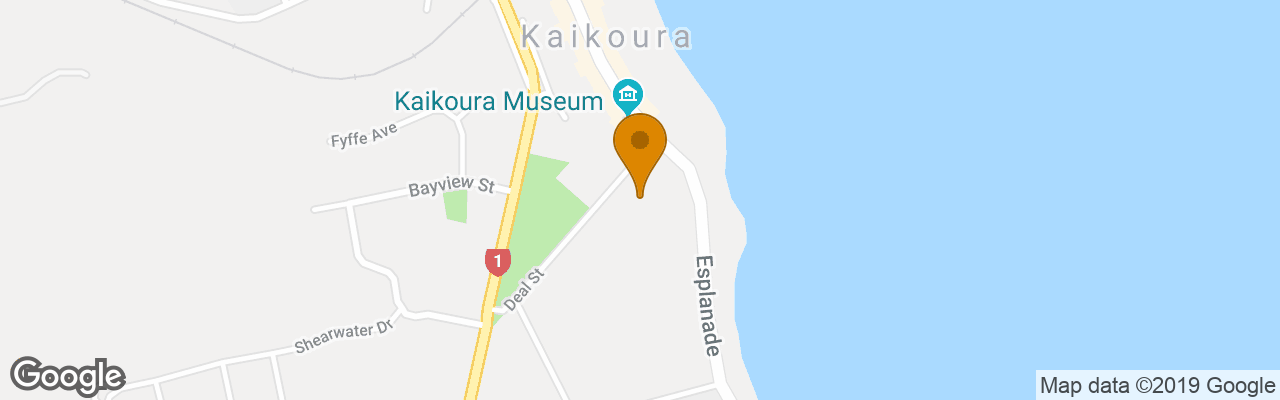 Hostel Dolphin Lodge