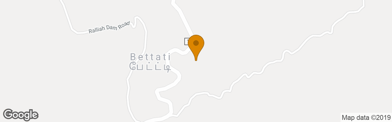 Resort The Misty Meadows