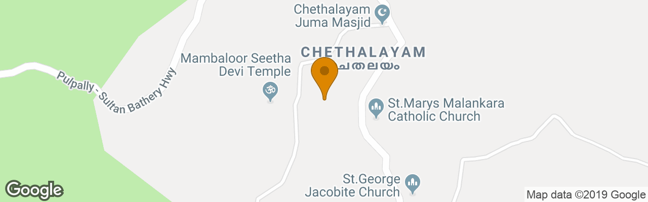 The Woods Resorts Wayanad