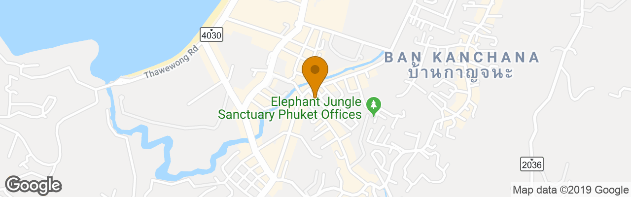 Pension Night Star Patong