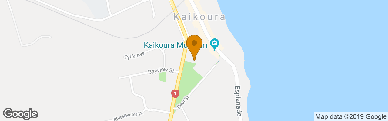 Bad Jelly/sky Hi Hostel