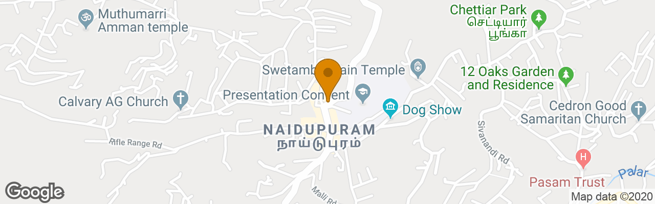 Hotel Saliha International