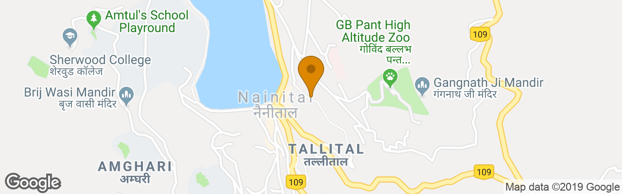 Hotel Bungalows Pine Wood