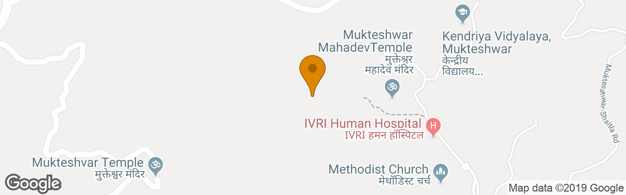 Valley Unwind Resort