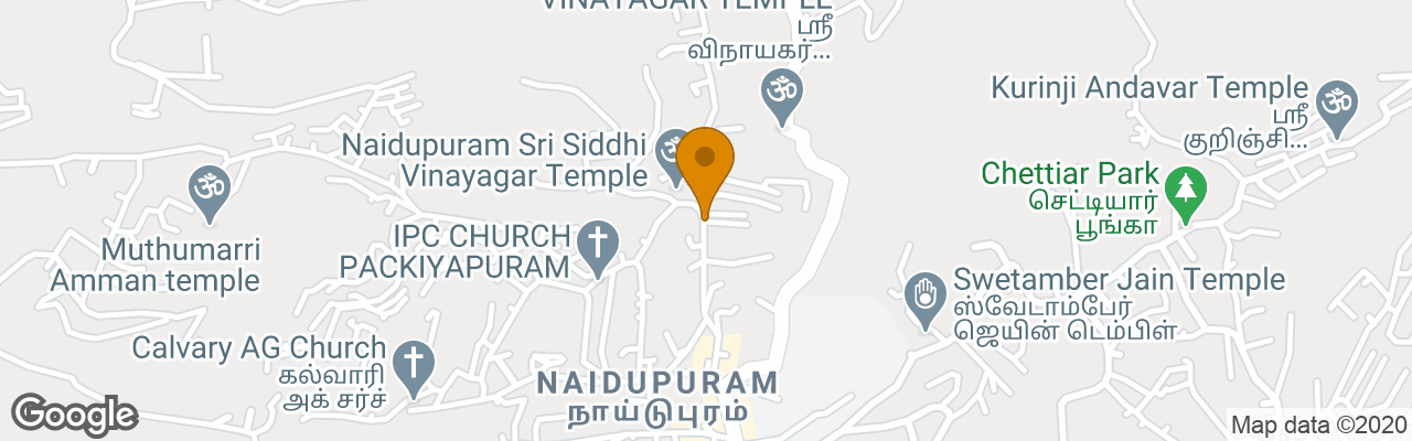 Hotel Yogi Palace Inn