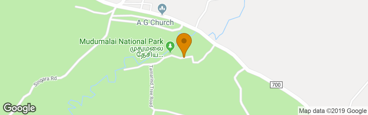 Resort Wild Woods Haven