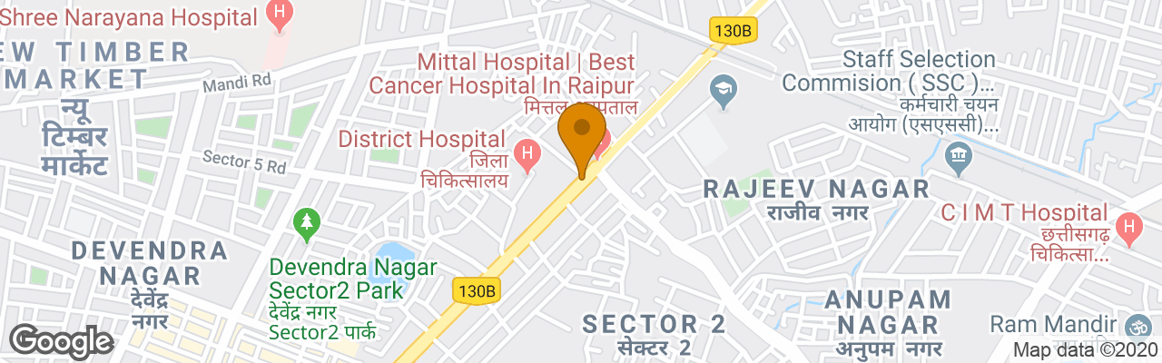 Hotel The Singh Palace