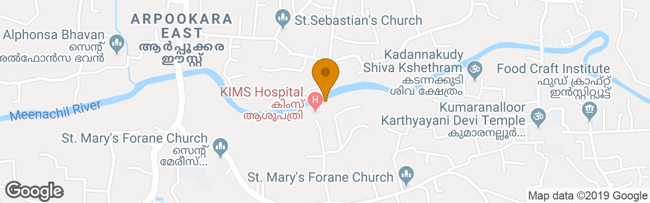 Rain Forest Ayur County Resort