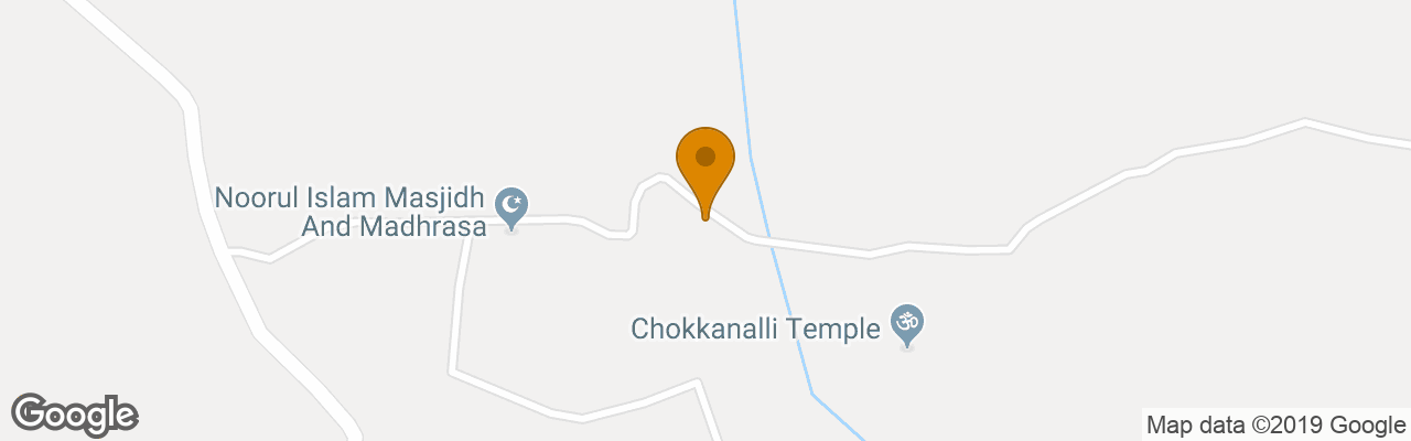 Resort Kings Wild Retreat