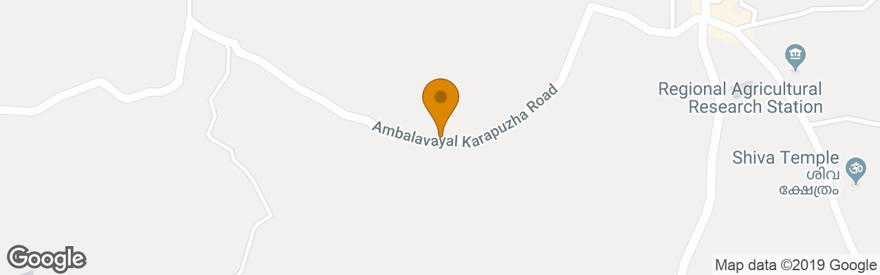 Resort The Wave Wayanad