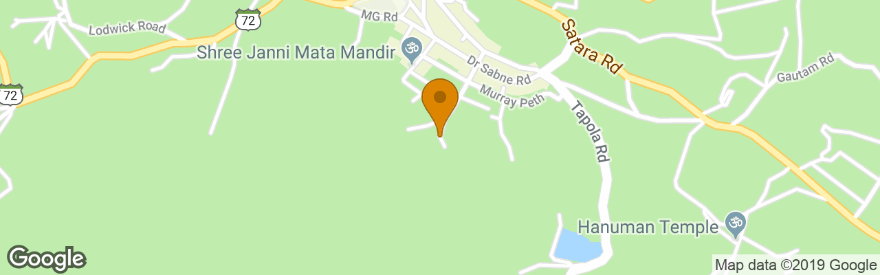 Hotel Vighnaharta Palace