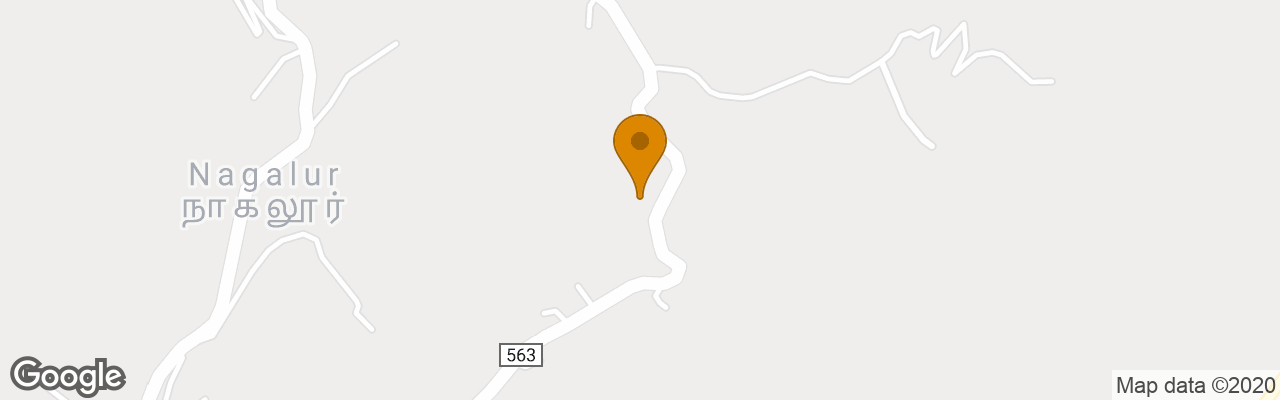 The Raintrees Resorts