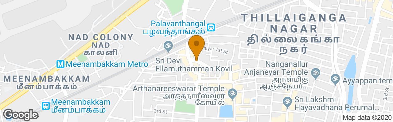 Bed and Breakfast Rose Flower