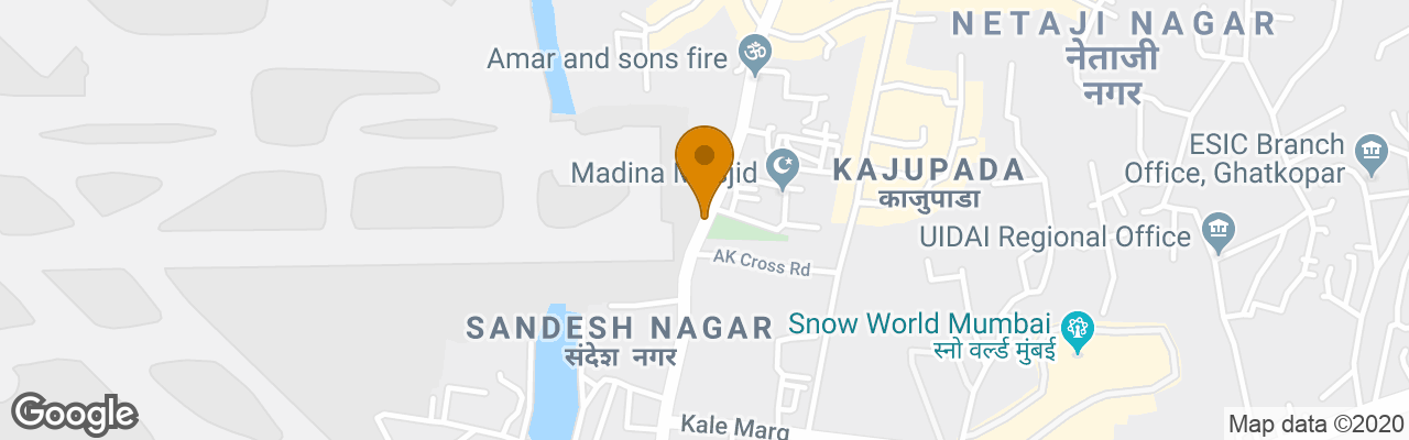 Hotel Treebo Amber International