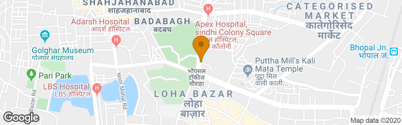 Hotel Oyo 4203  President